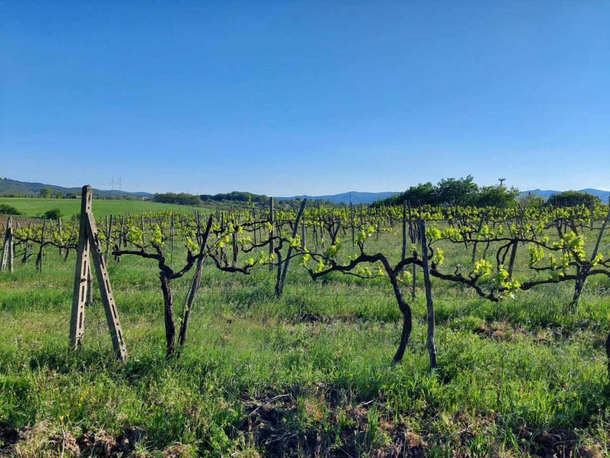 Tenuta I Lecci تيرانووفا براتشولي المظهر الخارجي الصورة
