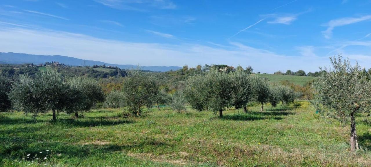 Tenuta I Lecci تيرانووفا براتشولي المظهر الخارجي الصورة